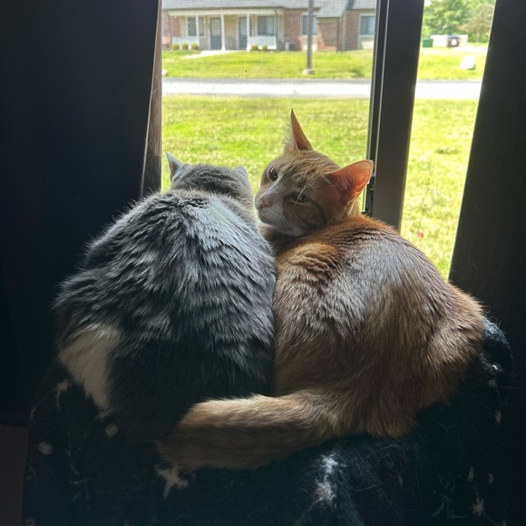 LēAnna is actually live?!?!?!? LIVE SHOW LISTING - Picture 4 of 8